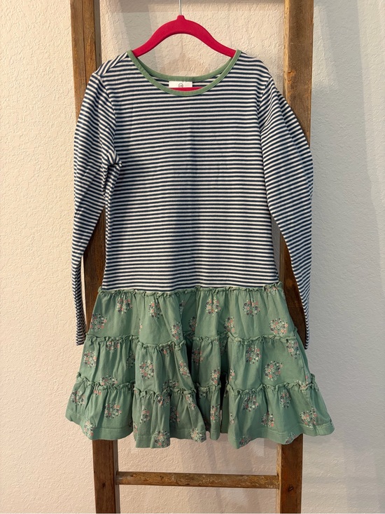 Hanna Andersson Other - Hanna Andersson Blue Stripe Top with Green Floral Ruffle Skirt